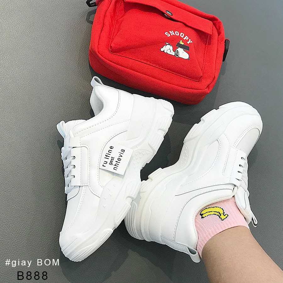 Tuyết yến_Bao 50kg - Ảnh 5