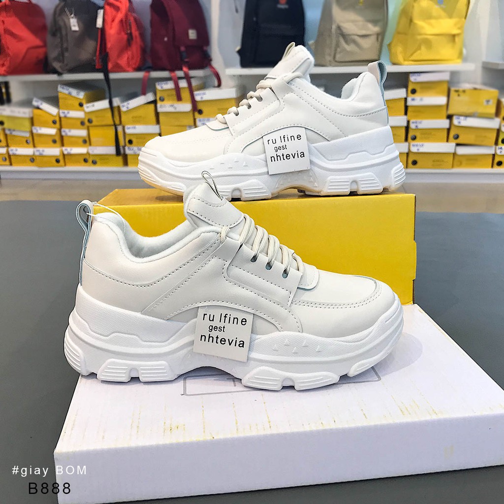 Tuyết yến_Bao 50kg - Ảnh 2