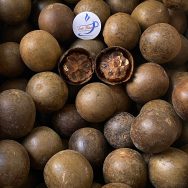 Nguyên liệu nấu nước mát - nước sâm